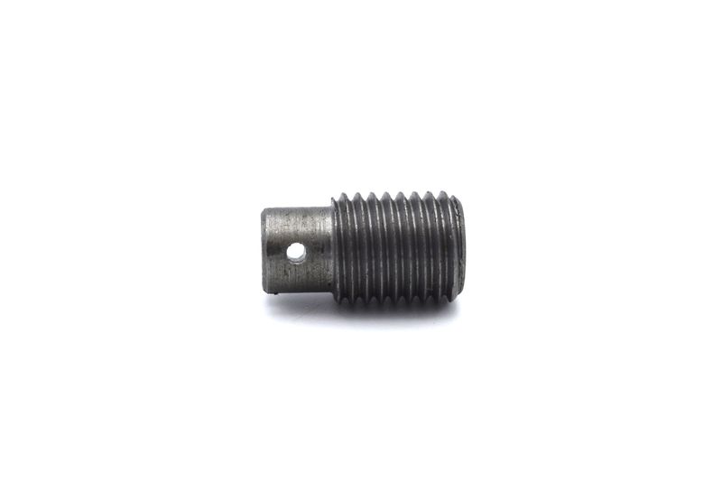 Detent Spring Retaining Screw